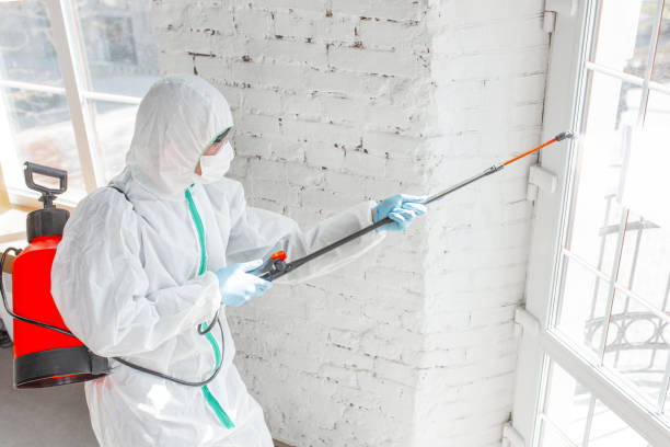 Best Comprehensive Air Testing for Mold Contaminants  in South Rockwood, MI